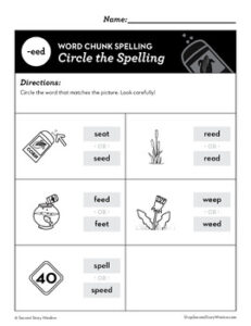 -Eed Word Family Worksheets No Prep Long Vowel E Chunk Spelling ...