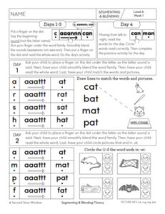 Segmenting & Blending Nonsense Word Fluency Practice Level A - Second ...